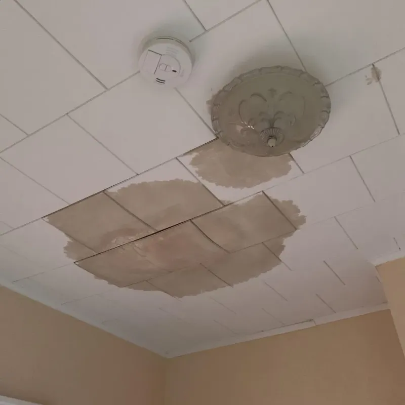 Ceiling Water Damage Repair in Pendleton, IN