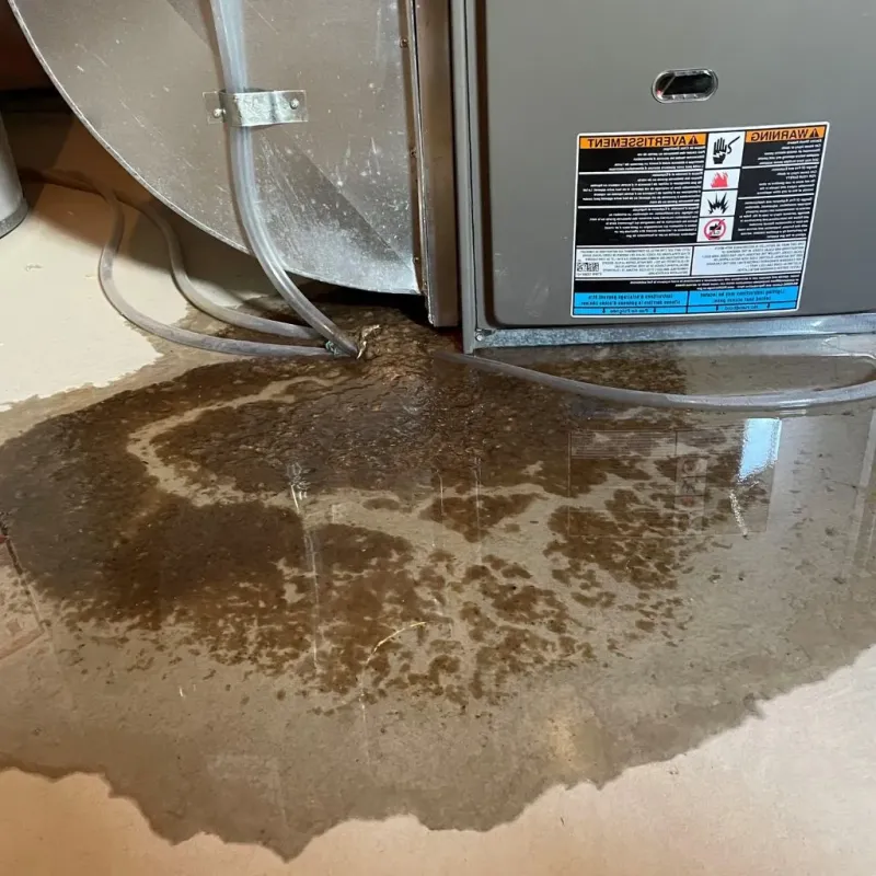 Pipe Burst and Leak Restoration in Pendleton, IN