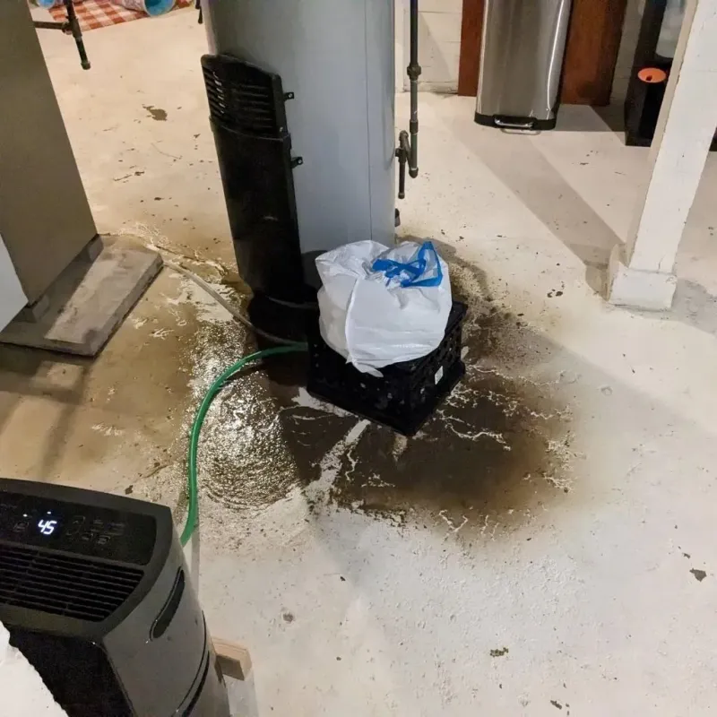 Sewage Backup Cleanup Service in Pendleton, IN